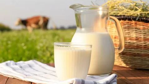 Jersey Sütü Faydalari